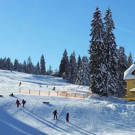 Hotell Burg Feldberg (Baden-Wurttemberg)