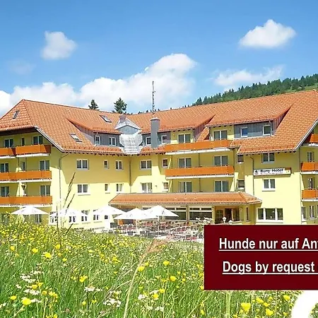 Burg Ξενοδοχείο Feldberg (Baden-Wurttemberg)