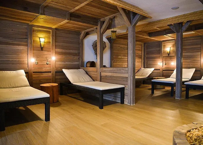 Hotel Burg Feldberg (Baden-Wurttemberg)