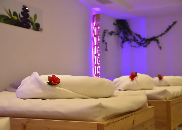 Hotel Burg Feldberg (Baden-Wurttemberg)